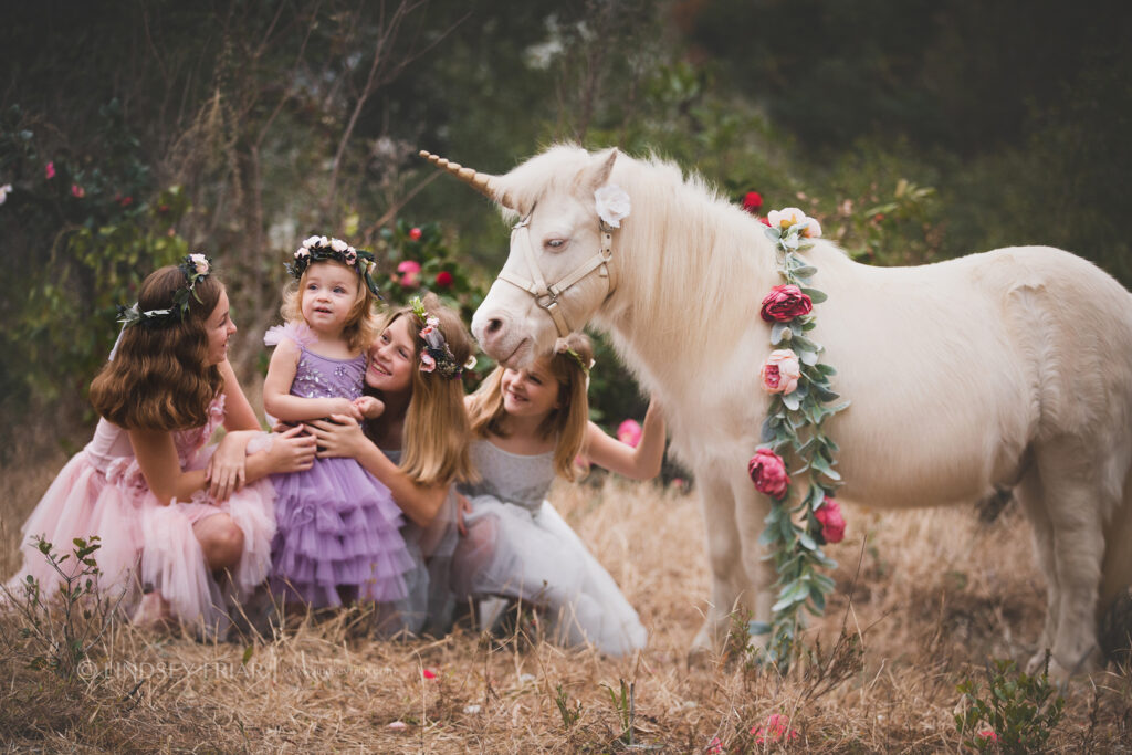 Unicorn Mini Session - Pensacola, FL Photographer 013 Lindsey Friar Photgraphy 2020 1024x683