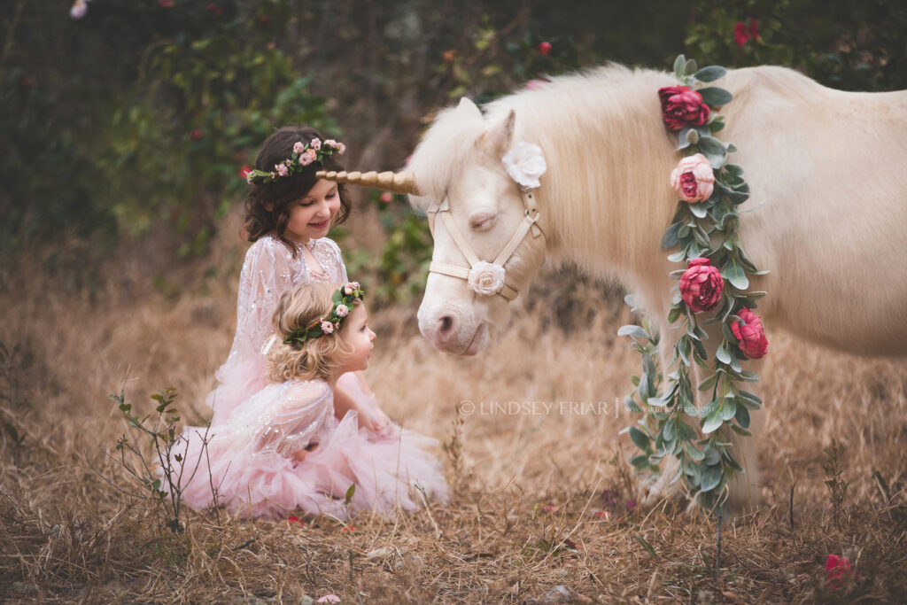 Unicorn Mini Session - Pensacola, FL Photographer 014 Lindsey Friar Photgraphy 2020 1024x683