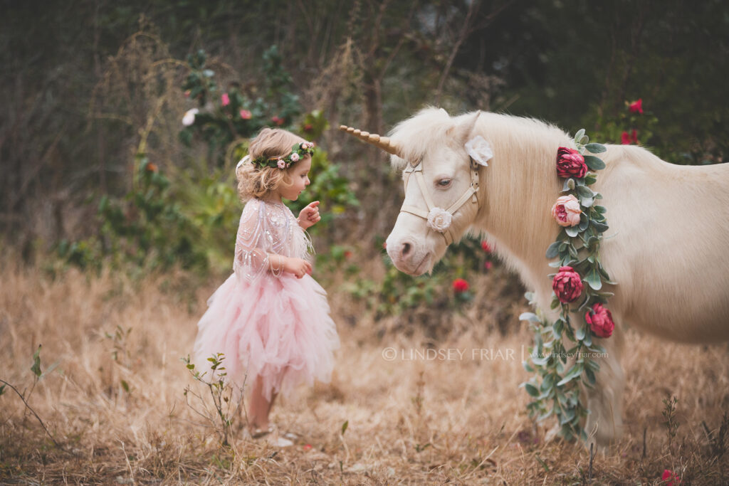 Unicorn Mini Session - Pensacola, FL Photographer 016 Lindsey Friar Photgraphy 2020 1024x683