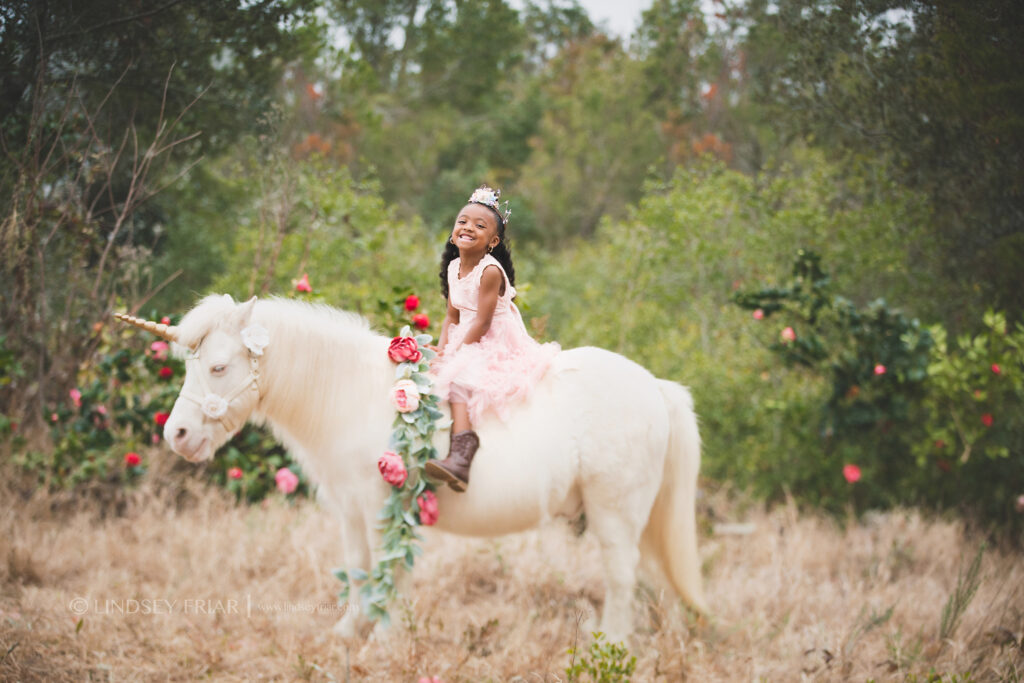 Unicorn Mini Session - Pensacola, FL Photographer 026 Lindsey Friar Photgraphy 2020 1024x683
