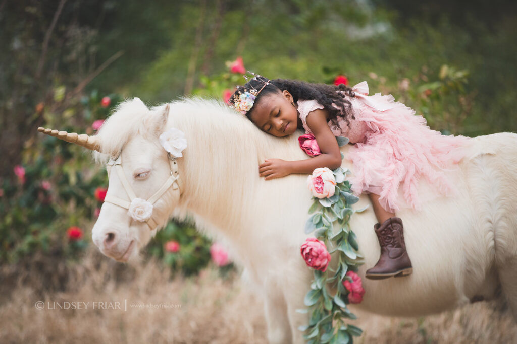 Unicorn Mini Session - Pensacola, FL Photographer 030 Lindsey Friar Photgraphy 2020 1 1024x683