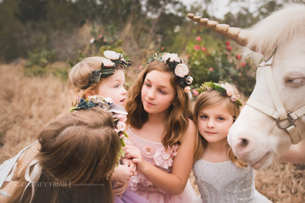 Unicorn Mini Session - Pensacola, FL Photographer 039 Lindsey Friar Photgraphy 2020 1024x683