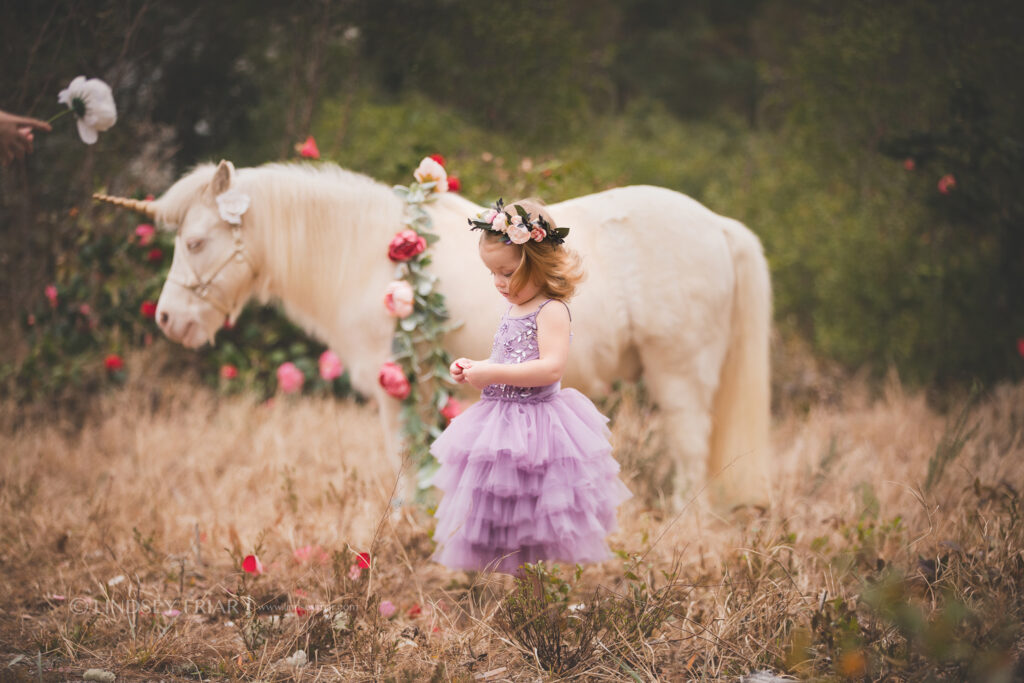 Unicorn Mini Session - Pensacola, FL Photographer 052 Lindsey Friar Photgraphy 2020 1024x683