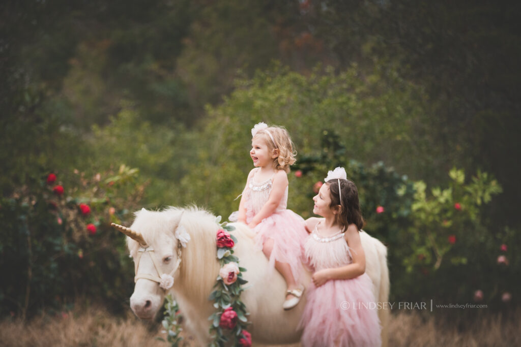 Unicorn Mini Session - Pensacola, FL Photographer 067 Lindsey Friar Photgraphy 2020 1024x683