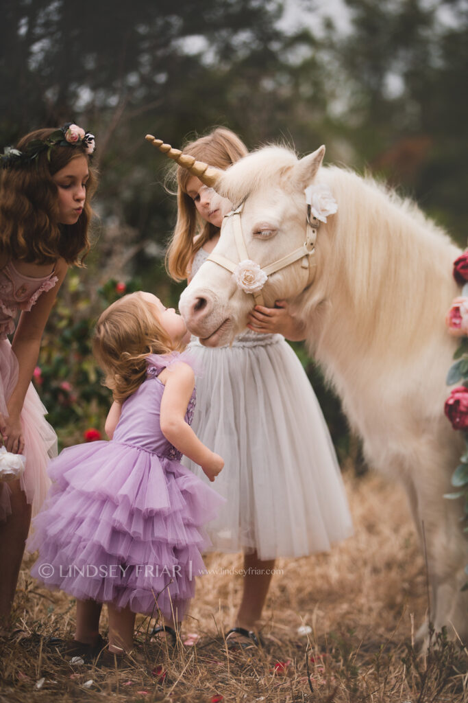 Unicorn Mini Session - Pensacola, FL Photographer 070 Lindsey Friar Photgraphy 2020 683x1024