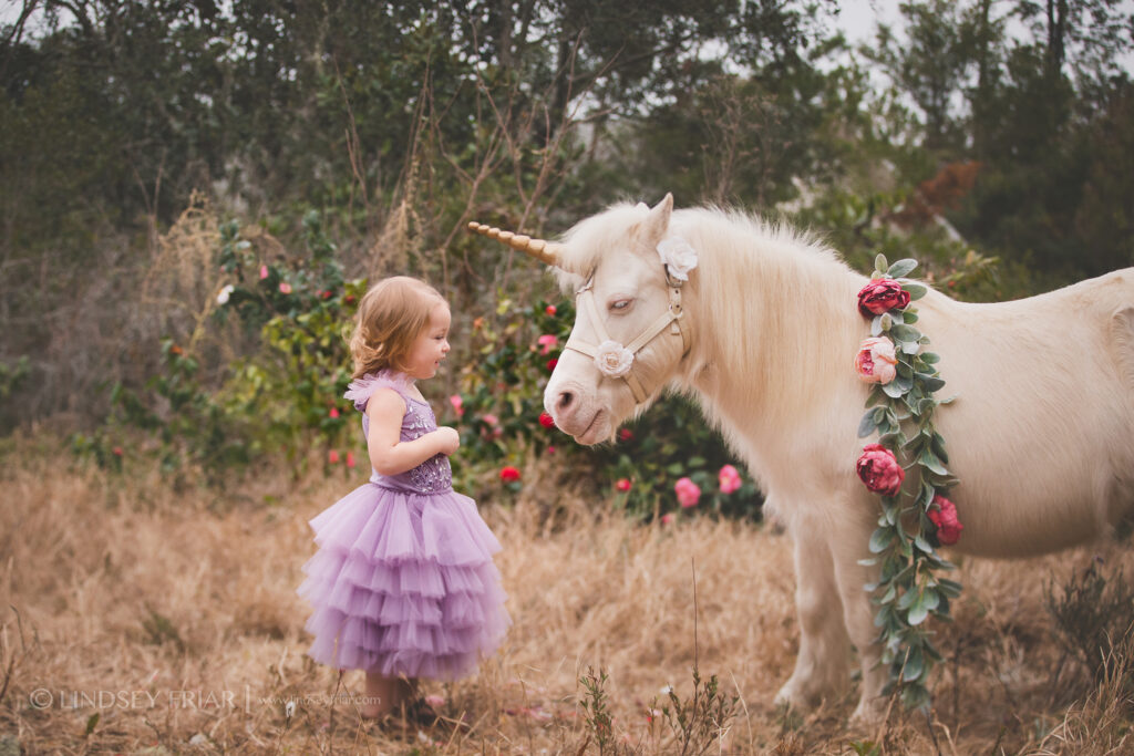 Unicorn Mini Session - Pensacola, FL Photographer 074 Lindsey Friar Photgraphy 2020 1024x683