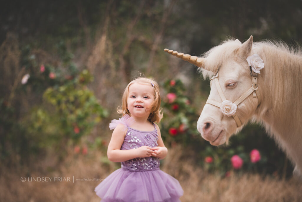Unicorn Mini Session - Pensacola, FL Photographer 077 Lindsey Friar Photgraphy 2020 1024x683