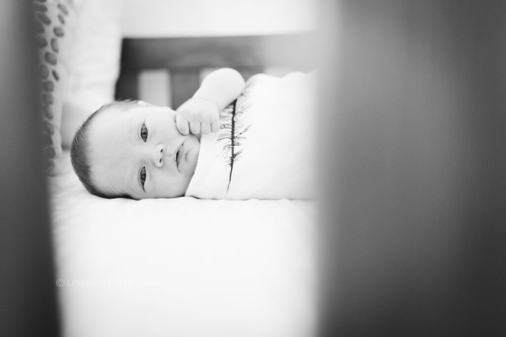 Pensacola, FL Newborn Photographer