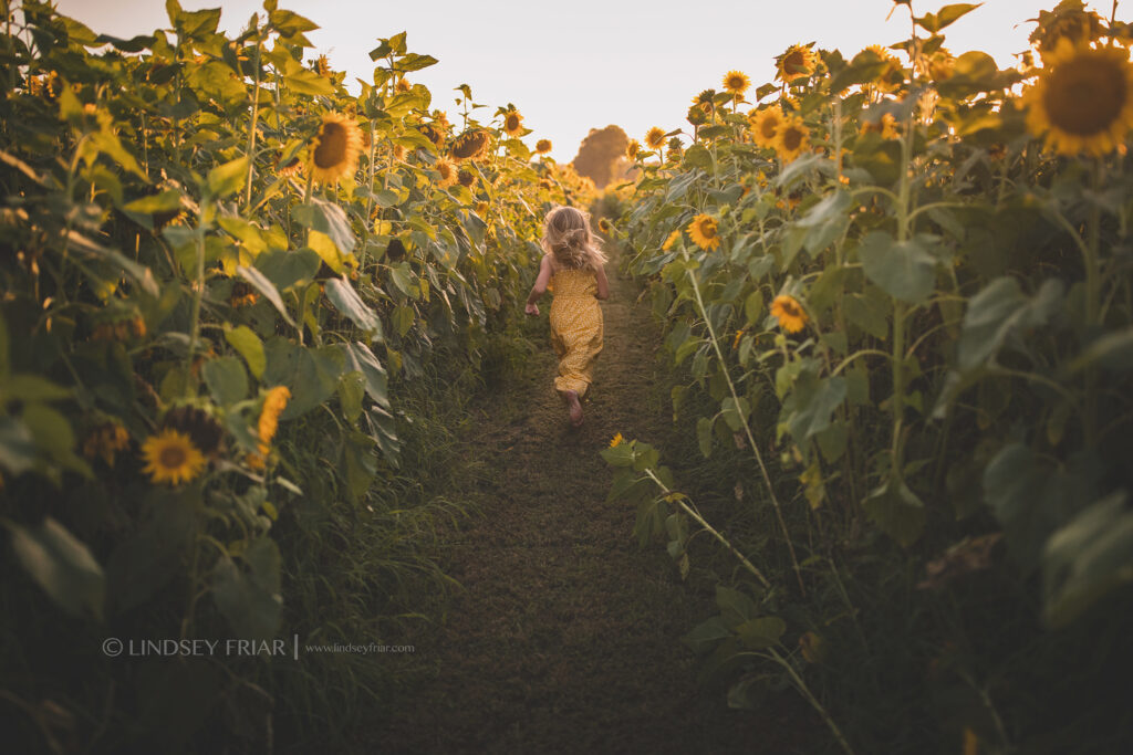 Sunflower Mini Session - Milton, FL Family Photographer