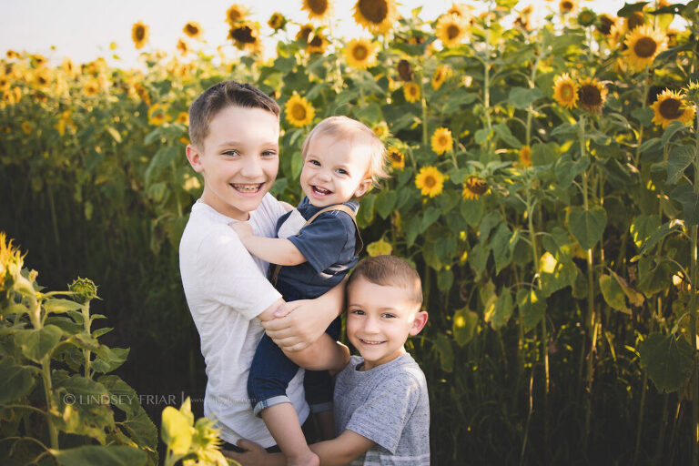 Sunflower Mini Session - Milton, FL Family Photographer