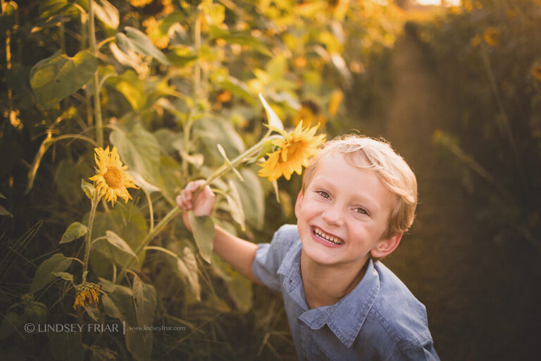 Sunflower Mini Session - Milton, FL Family Photographer
