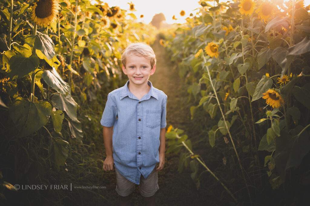 Sunflower Mini Session - Milton, FL Family Photographer