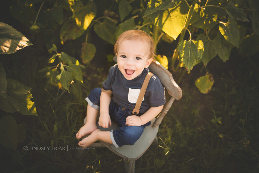 Sunflower Mini Session - Milton, FL Family Photographer