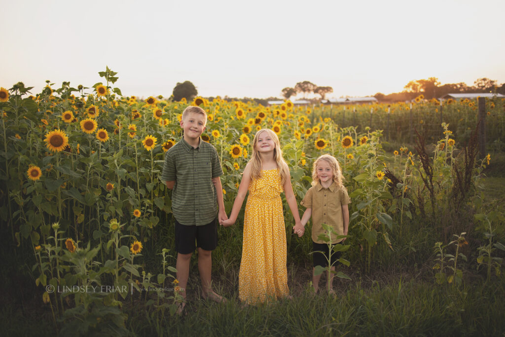 Sunflower Mini Session - Milton, FL Family Photographer