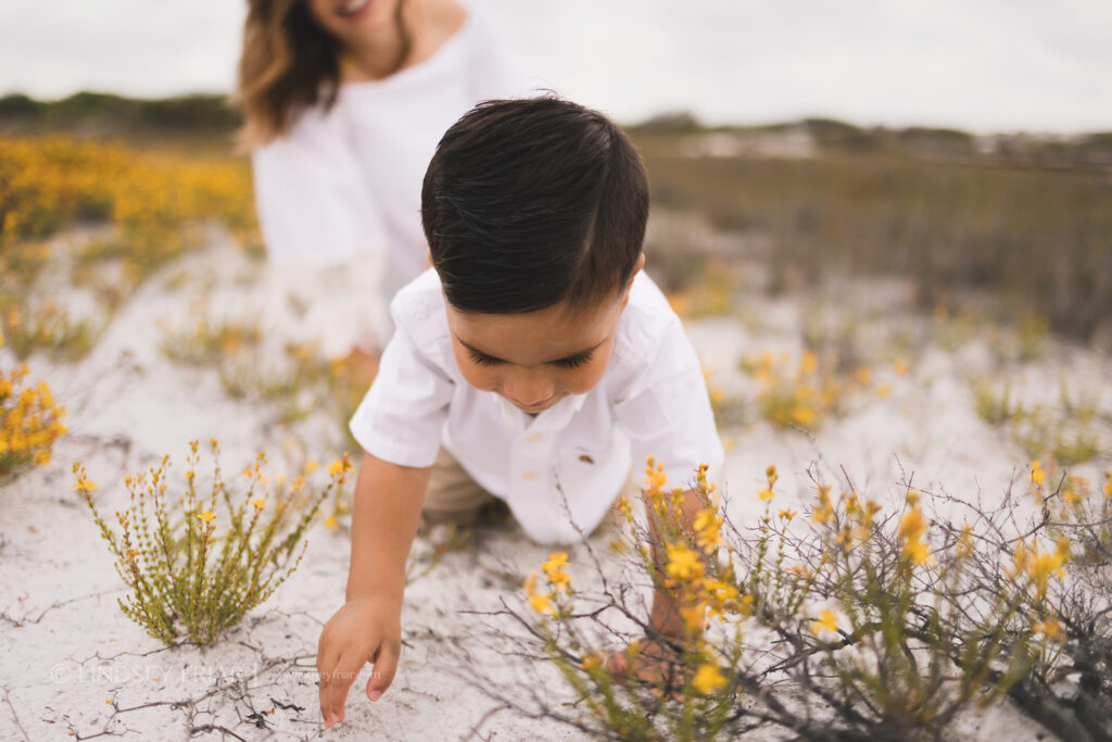 Maternity Photographer - Pensacola Beach