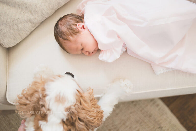 Lifestyle Newborn Photographer Pensacola, FL