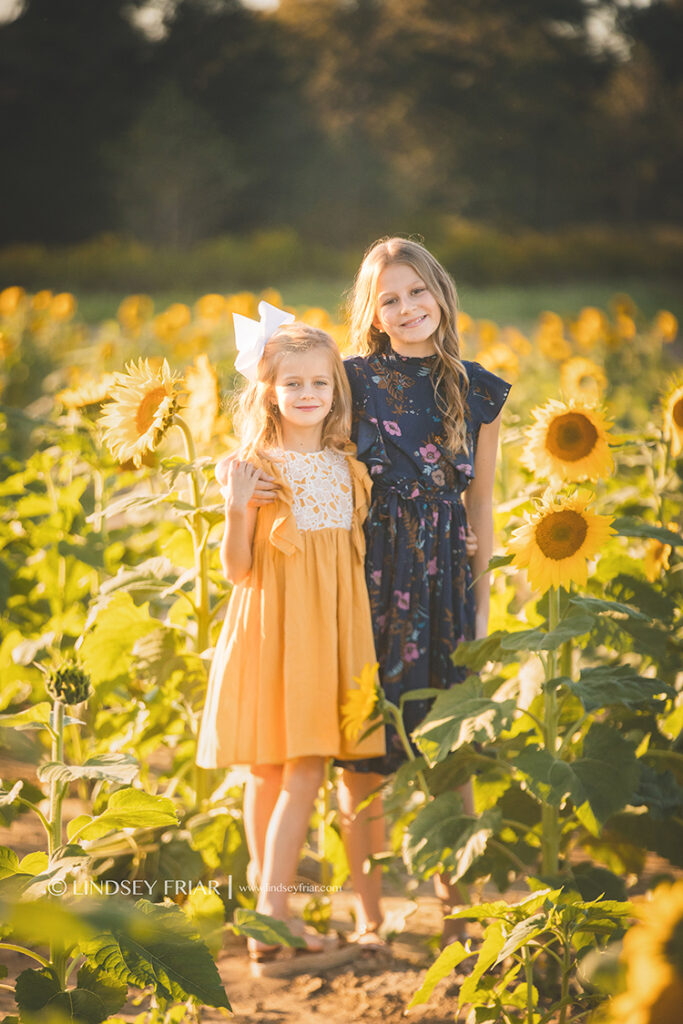 Sunflower Family Mini Sessions - Milton, FL Family Photographer 061 Lindsey Friar Photgraphy 2023 683x1024
