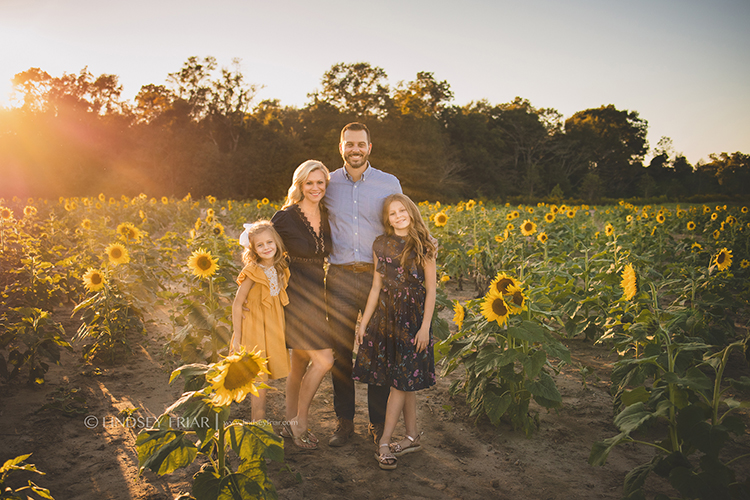 Sunflower Family Mini Sessions - Milton, FL Family Photographer 131 Lindsey Friar Photgraphy 2023