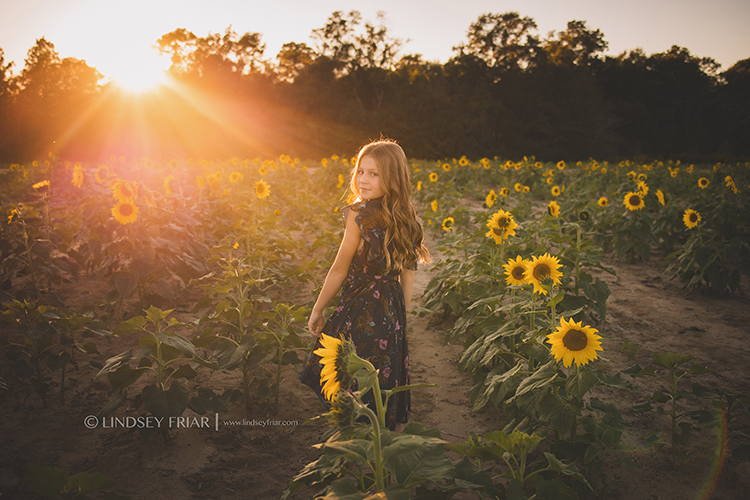 Sunflower Family Mini Sessions - Milton, FL Family Photographer 137 Lindsey Friar Photgraphy 2023