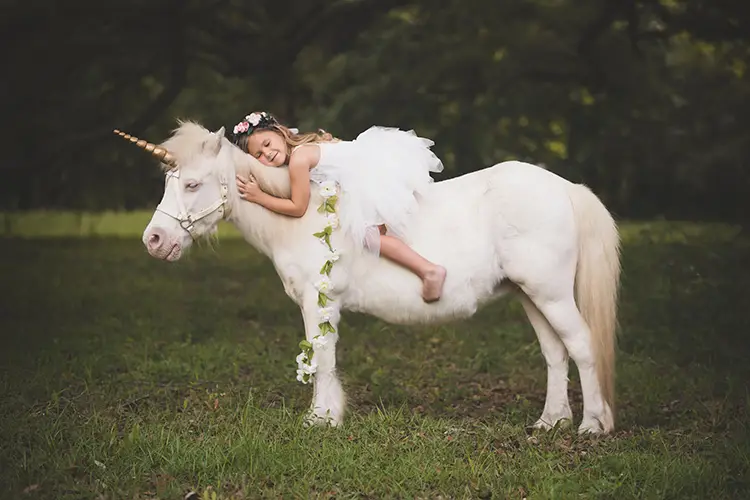 017 © Lindsey Friar Photgraphy 2024