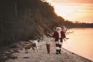 036 © lindsey friar photography 2025 copy